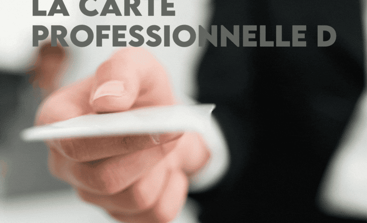 Une carte professionnelle pour les diagnostiqueurs : rêve ou réalité ?