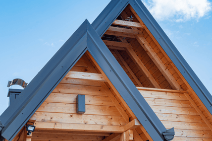 Diagnostic État Parasitaire : Essentiel pour la Sécurité des Transactions Immobilières