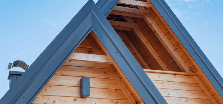 Diagnostic État Parasitaire : Essentiel pour la Sécurité des Transactions Immobilières