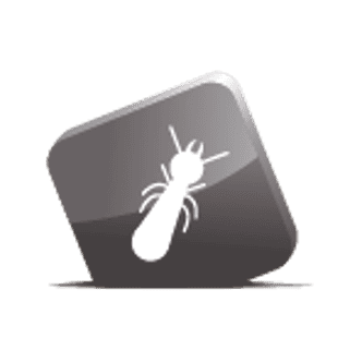 Icône Diagnostic Termites / État parasitaire