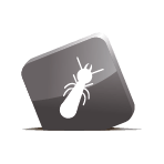 Icône Diagnostic Termites / État parasitaire
