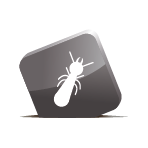 Icône Diagnostic Termites / État parasitaire