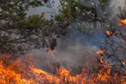 Les zones concernées par les obligations de débroussaillement