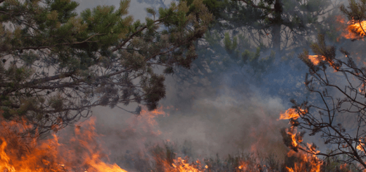 Les zones concernées par les obligations de débroussaillement
