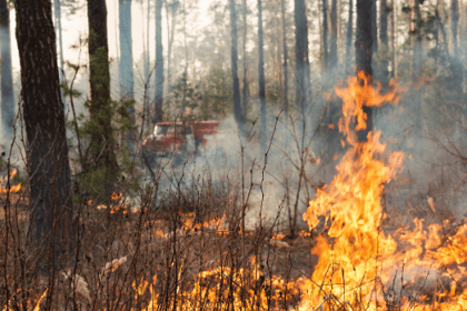 Pourquoi débroussailler est essentiel pour la sécurité incendie