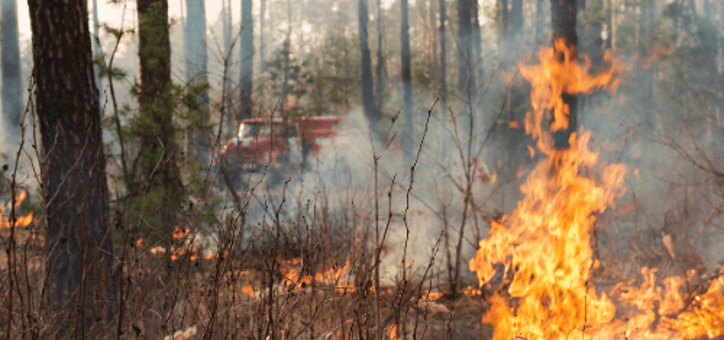 Pourquoi débroussailler est essentiel pour la sécurité incendie