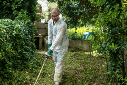 Débroussaillement : un investissement pour votre sécurité