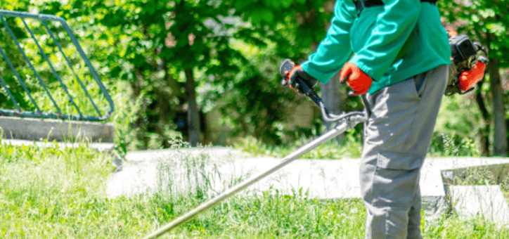 Comment le débroussaillement aide à protéger la faune locale