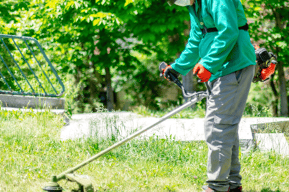 Débroussaillement et respect de l'environnement : astuces pratiques