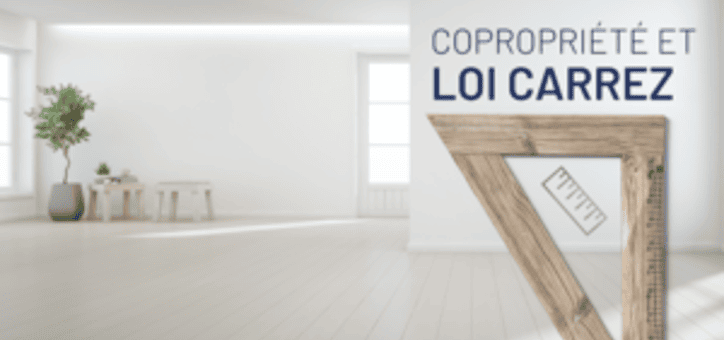 Copropriété et Loi Carrez