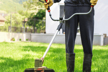 Débroussaillement : préparer sa propriété pour l'hiver