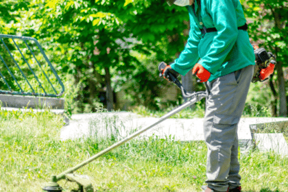 Comment le débroussaillement protège votre communauté