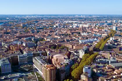 Termites à Toulouse : les 5 quartiers nord les plus touchés et comment protéger sa maison en 2026