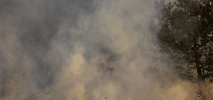 Les meilleures stratégies pour un débroussaillement optimal