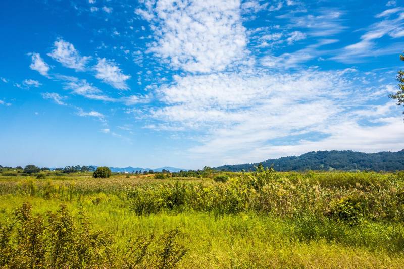Terrains & projets neufs