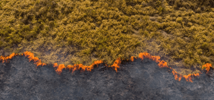 Débroussaillement : prévenir les incendies de forêt
