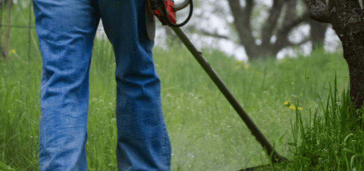 Débroussaillement et protection des biens : ce qu'il faut savoir