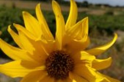 Le Bonheur est en vous… partagez le !