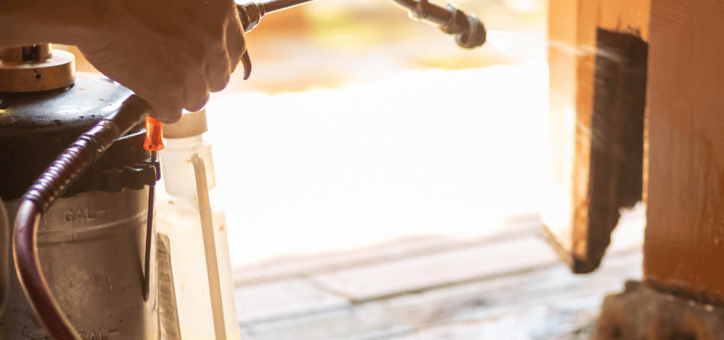 La nécessité du diagnostic état parasitaire dans la transaction  immobilière