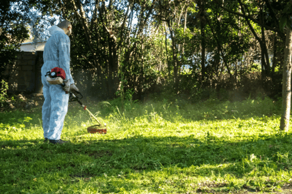 Calendrier idéal pour débroussailler votre terrain et prévenir les incendies
