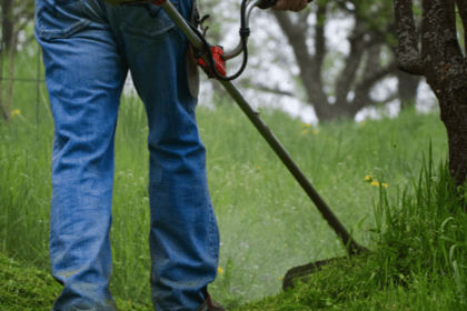 Les meilleures pratiques pour un débroussaillement réussi