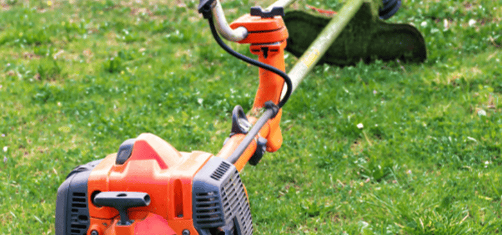 L'importance cruciale du débroussaillement