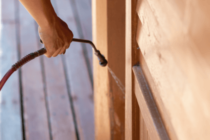 Comprendre l'importance des diagnostics immobiliers : termites et état parasitaire