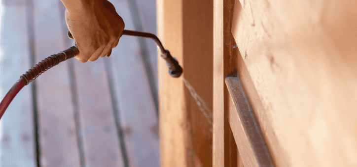 Comprendre l'importance des diagnostics immobiliers : termites et état parasitaire