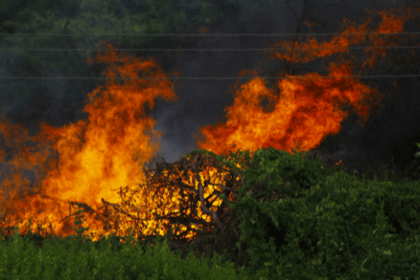 Les responsabilités pénales en cas de non-débroussaillement