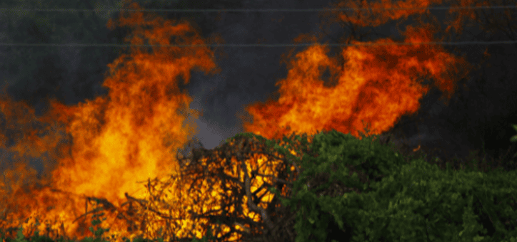 Les responsabilités pénales en cas de non-débroussaillement