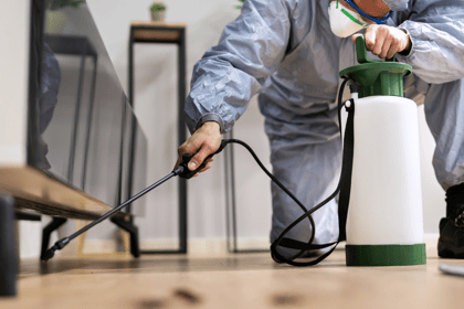 Comprendre l'importance du diagnostic état parasitaire lors d'une transaction immobilière