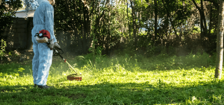 Les pièges à éviter lors du débroussaillement de votre terrain