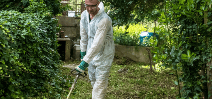 Les conseils d'experts pour un débroussaillement efficace