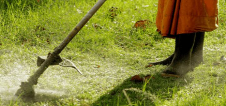 Débroussaillement et urbanisme : ce que vous devez savoir