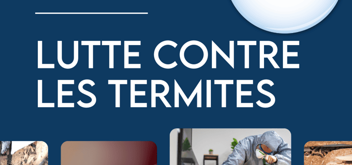 Comment un diagnostic précoce peut sauver votre maison des termites