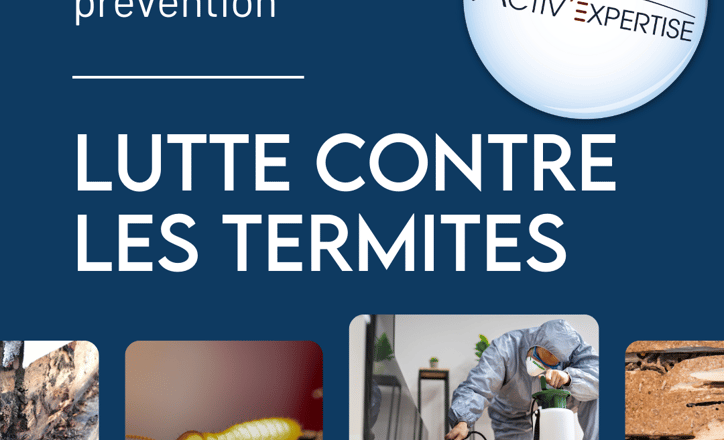 Comment un diagnostic précoce peut sauver votre maison des termites