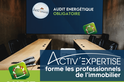 Les agents immobiliers & la loi Alur