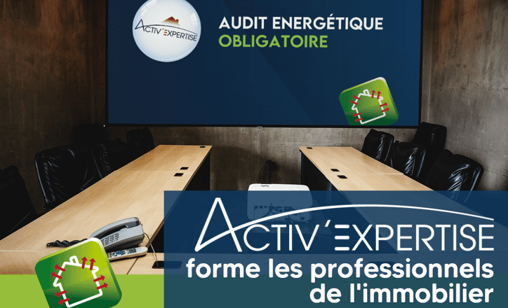 Les agents immobiliers & la loi Alur