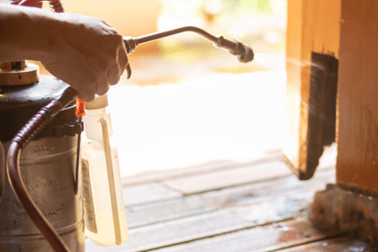 Comprendre l'importance de l'état parasitaire dans la vente immobilière