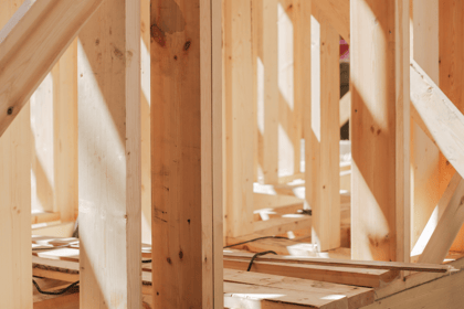 Comprendre les diagnostics immobiliers : termites et état parasitaire