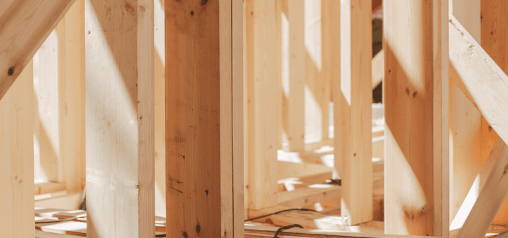 Comprendre les diagnostics immobiliers : termites et état parasitaire