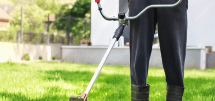 Débroussaillement : préparer sa propriété pour l'hiver