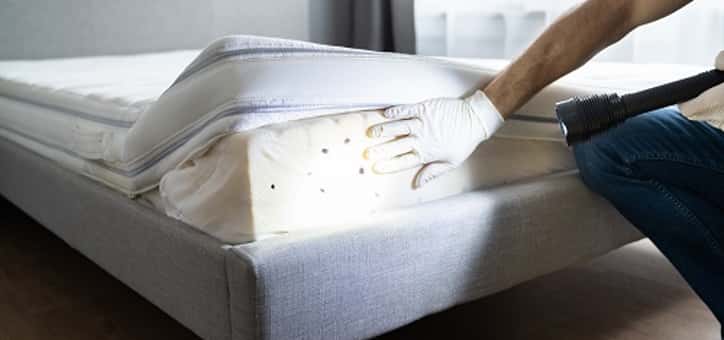 Diagnostics avant une location immobilière : gare à la présence de punaises de lit!