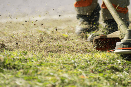 Débroussaillement : réduire les risques d'incendie autour de chez soi
