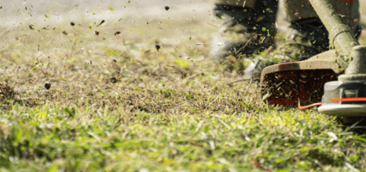 Débroussaillement : réduire les risques d'incendie autour de chez soi