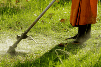 Les aspects juridiques du débroussaillement à connaître