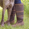 Botas de cuero para mujer y botas acolchadas