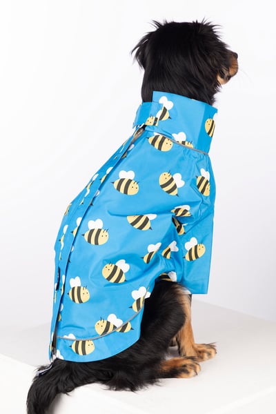 Spritzschutz für Hunde - Yapham - Hummel