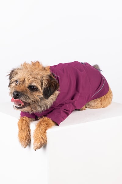 Dog Raincoats - Yapham - Mulberry