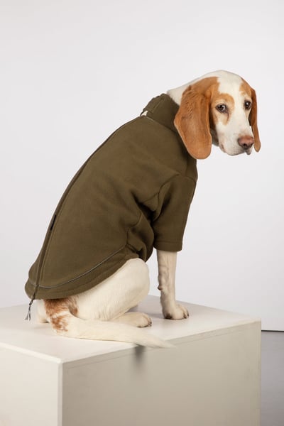 Fleece-Hundepullover - Yapham - Olive